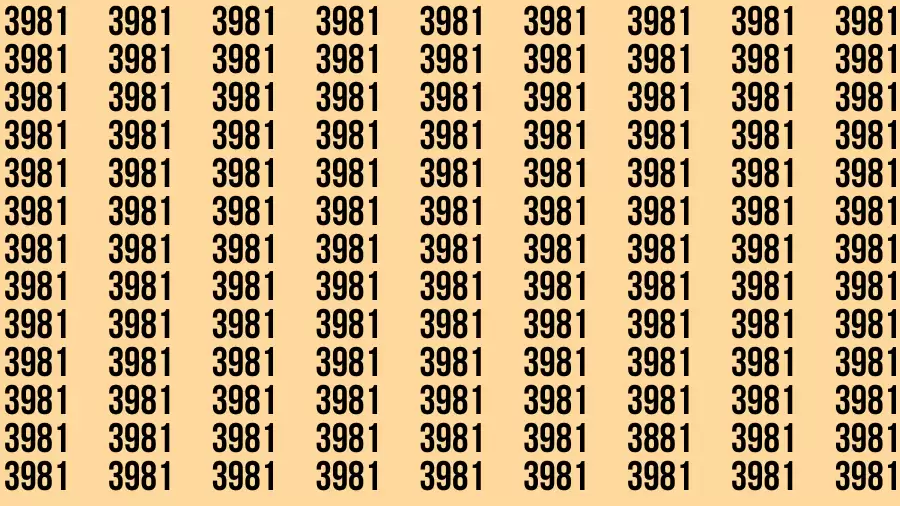 Observation Brain Test: If you have 50/50 Vision Find the Number 3881 in 15 Secs