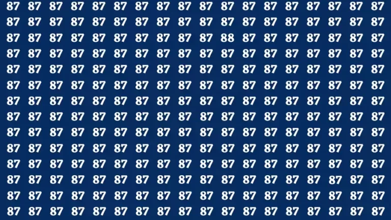 Observation Find it Out: If you have Sharp Eyes Find the number 88 in 20 Secs