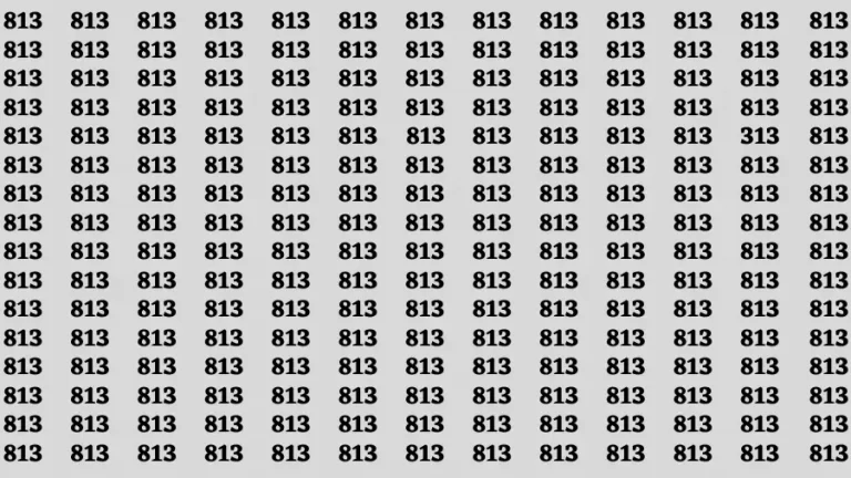 Observation Find it Out: If you have Eagle Eyes Find the Number 313 in 15 Secs