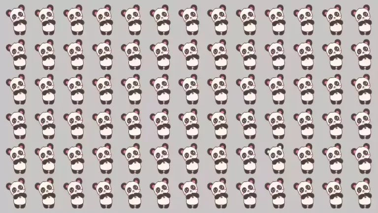 Optical Illusion Challenge: If you have Eagle Eyes find the Odd Panda in 15 Seconds