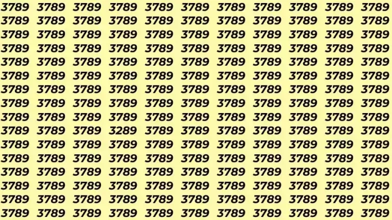 Observation Skill Test: If you have Eagle Eyes Find the number 3289 in 10 Seconds?