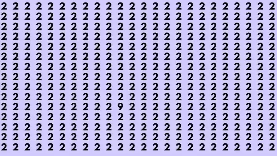 Observation Skill Test: If you have Sharp Eyes Find the number 9 among 2 in 15 Seconds?