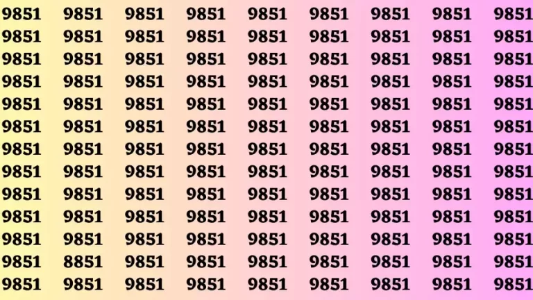 Brain Test: If you have Eagle Eyes Find the Number 8851 in 15 Secs