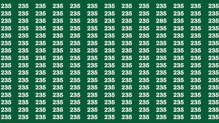 Brain Test: If you have Eagle Eyes Find the Number 285 in 15 Secs