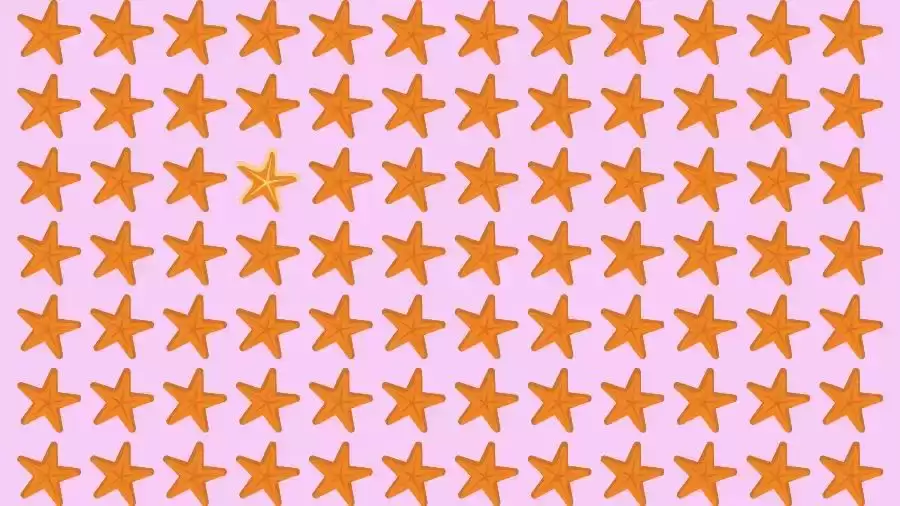 Optical Illusion Brain Test: If you have Eagle Eyes find the Odd StarFish in 10 Seconds