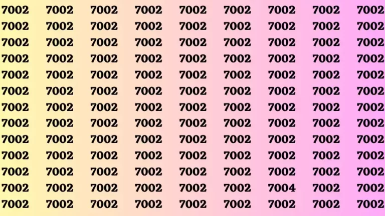 Observation Brain Test: If you have Hawk Eyes Find the Number 7004 among 7002 in 15 Secs