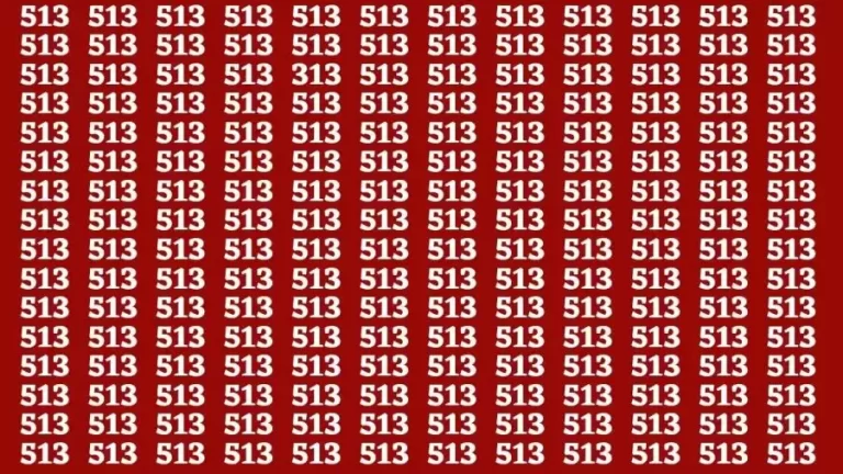 Observation Brain Test: If you have Eagle Eyes Find the number 313 among 513 in 12 Secs