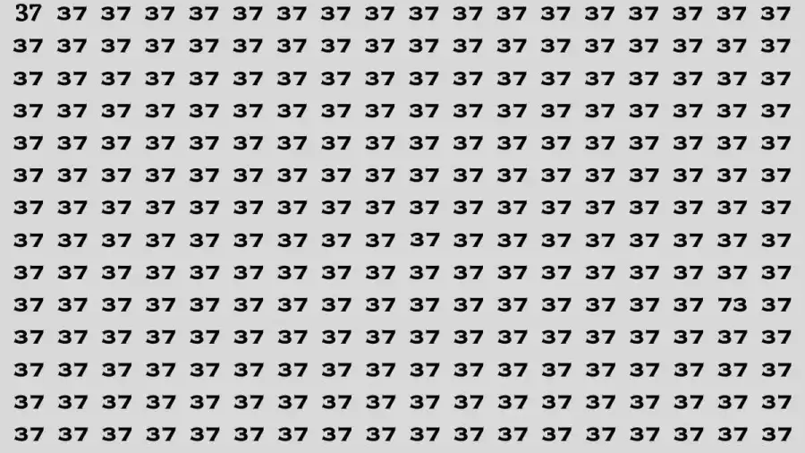 Solve the Puzzle Where 6+8=5 by Removing 2 Sticks to Fix the Equation