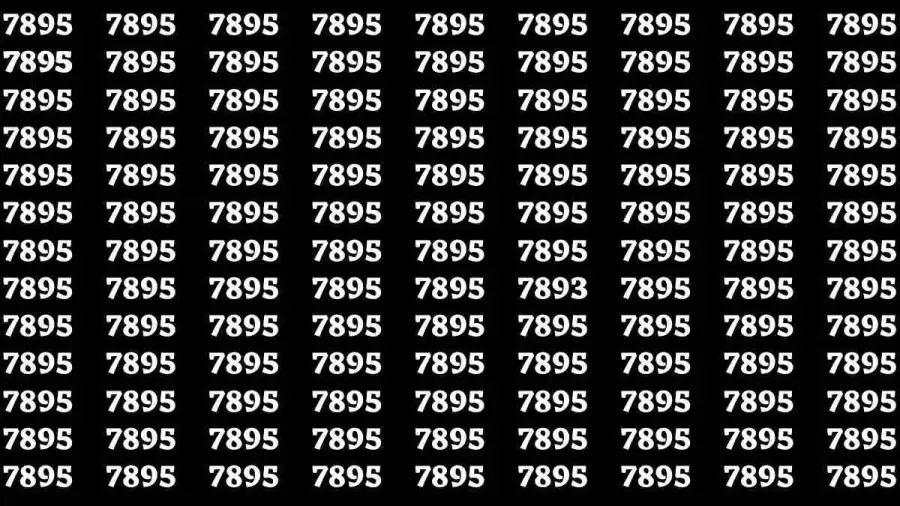 Brain Test: If you have Eagle Eyes Find the Number 7893 in 15 Secs