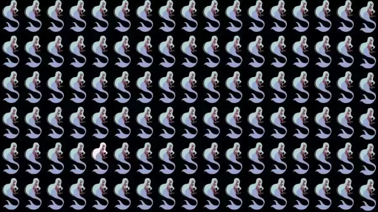 Optical Illusion Challenge: If you have Eagle Eyes find the Odd Mermaid in 15 Seconds