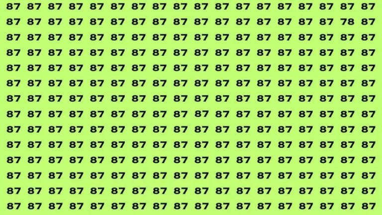 Observation Brain Test: If you have Eagle Eyes Find the number 78 in 12 Secs