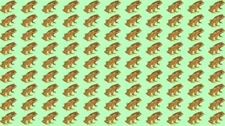 Optical Illusion Challenge: If you have Eagle Eyes find the Odd Toad in 15 Seconds