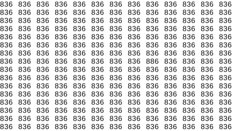 Optical Illusion Brain Test: If you have Hawk Eyes Find the number 886 among 836 in 9 Seconds?