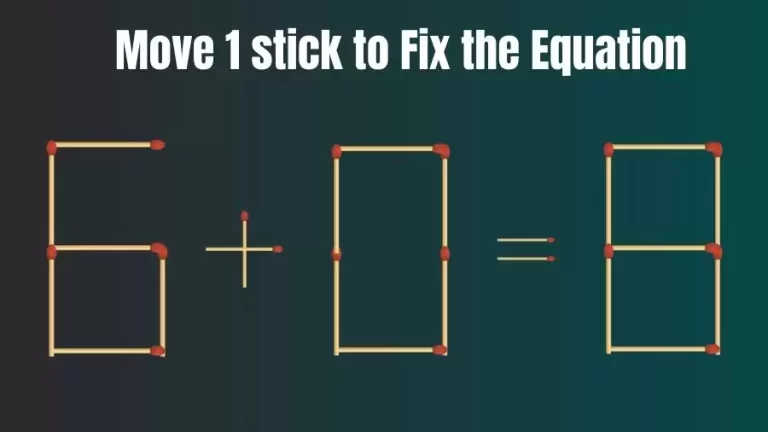 6+0=8 Move 1 Matchstick and Correct this Equation Within 20 Seconds | Brain Teaser Matchstick Puzzle