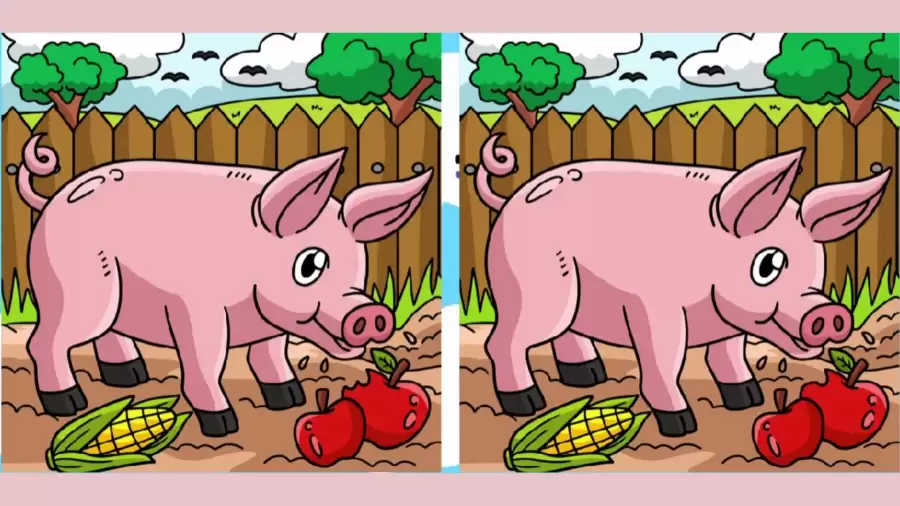 Are you smart enough to spot 3 differences in the Pig pictures within 7 seconds?