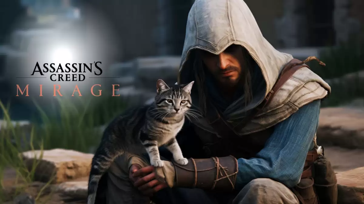 Assassins Creed Mirage Cat, Where to Find Assassin
