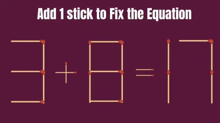 Brain Teaser: 3+8=17 Add 1 Matchstick to Fix the Equation | Matchsticks Puzzle