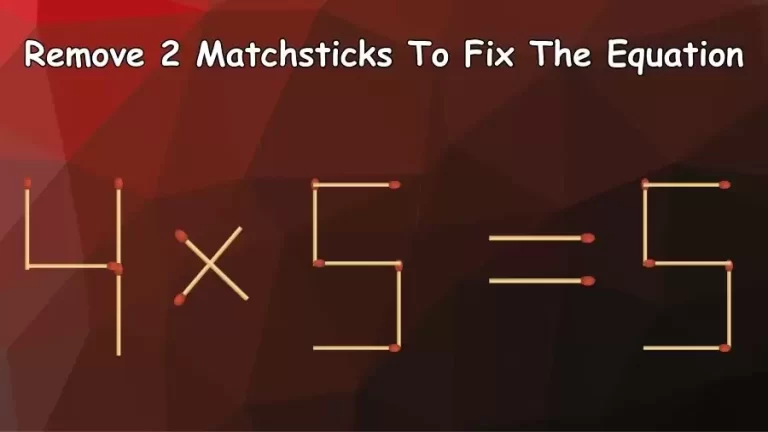 Brain Teaser: 4x5=5 Remove 2 Matchsticks To Fix The Equation