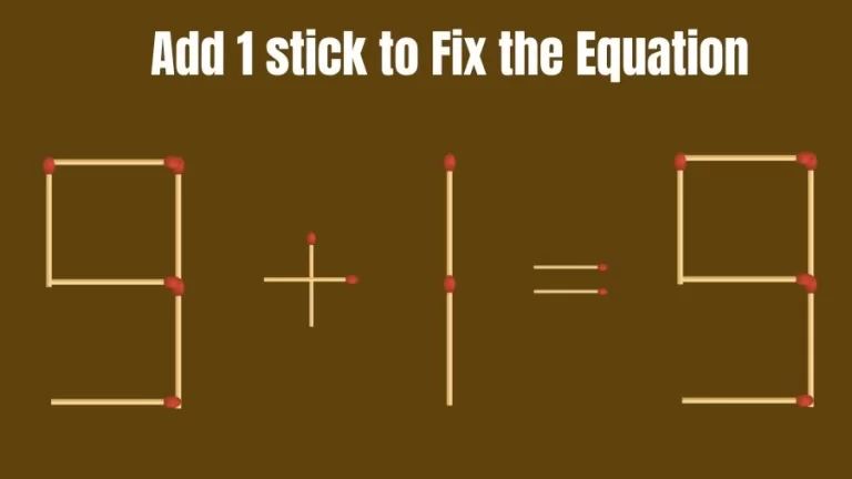 Brain Teaser: 9+1=9 Add 1 Matchstick to Fix the Equation