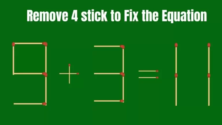 Brain Teaser: 9+3=11 Remove 4 Matchsticks to Fix the Equation | Matchsticks Puzzle