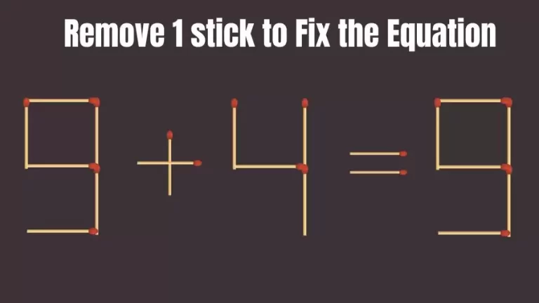 Brain Teaser: 9+4=9 Remove 1 Matchstick To Fix The Equation