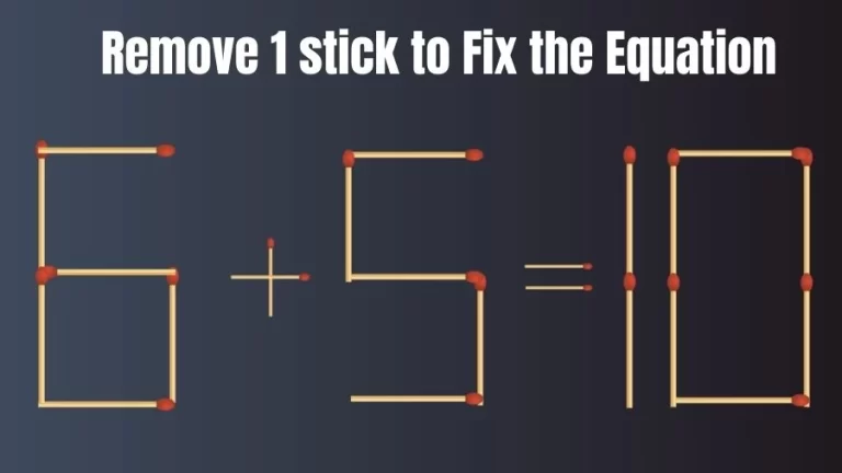 Brain Teaser Matchstick Puzzle: Remove 1 Matchstick to Fix the Equation