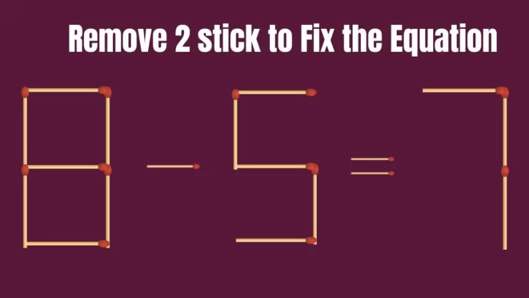 Brain Teaser Matchstick Puzzle: Remove 2 Matchsticks to Fix the Equation