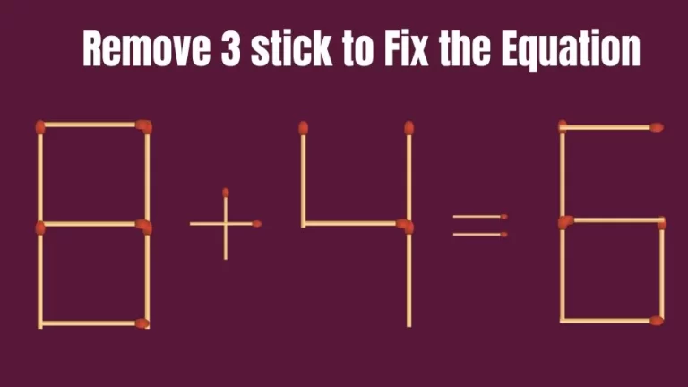 Brain Teaser Matchstick Puzzle: Remove 3 Matchsticks to Fix the Equation