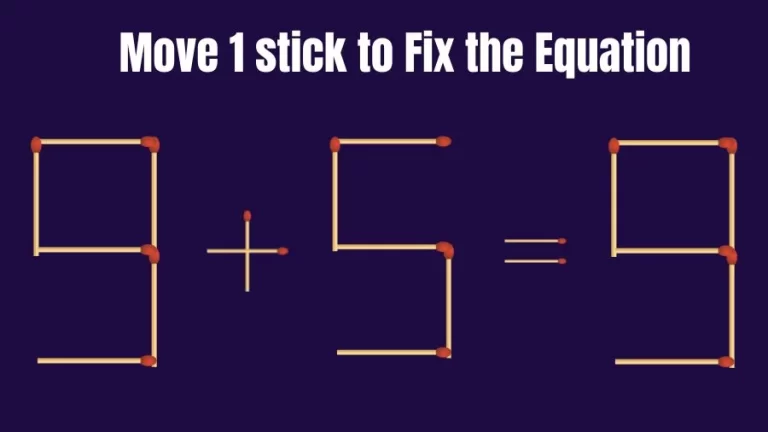Brain Teaser Math Test: Fix 9+5=9 Move 1 Matchstick to Fix the Equation by 30 Secs