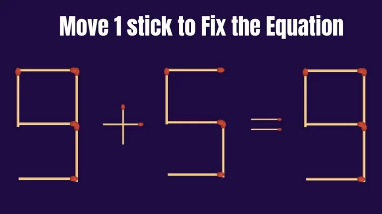 Brain Teaser Math Test: Fix 9+5=9 Move 1 Matchstick to Fix the Equation by 30 Secs | Matchstick Puzzle