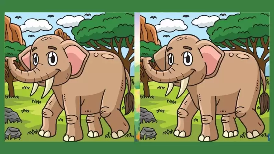 Brain Teaser Spot the Difference: Can you Spot 3 Differences in these Pictures? Picture Puzzle