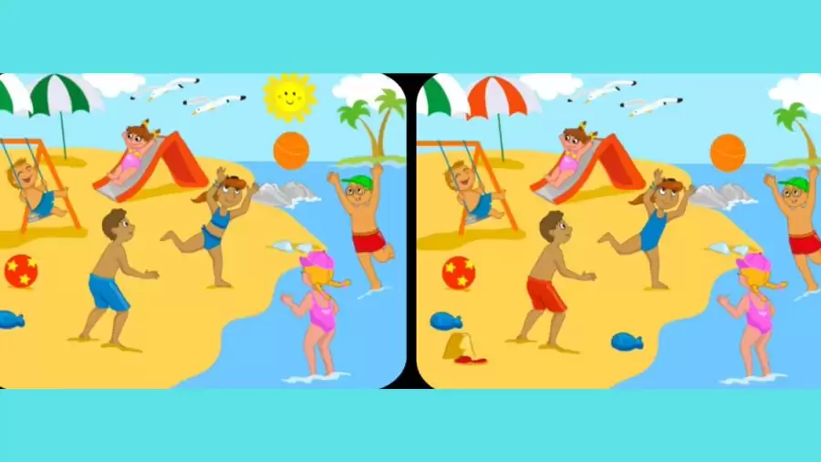 Brain Teaser Spot the Difference Picture Puzzle: Can you Spot 7 Differences in this Beach Picture?