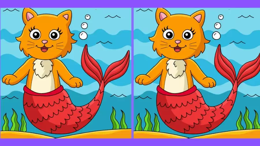 Brain Teaser Spot the Difference Picture Puzzle: If you have Eagle Eyes find the 3 differences in less than 20 seconds!