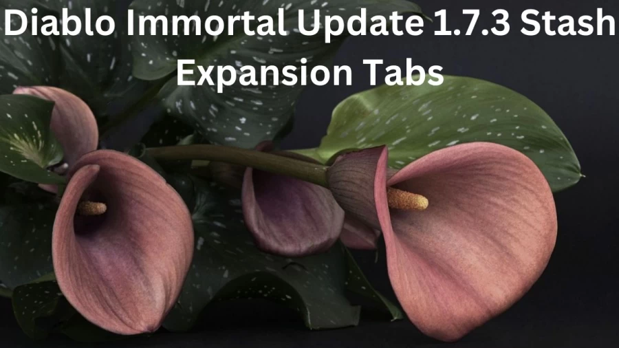 Diablo Immortal Update 1.7.3 Stash Expansion Tabs, Diablo Immortal 1.7.3 Update