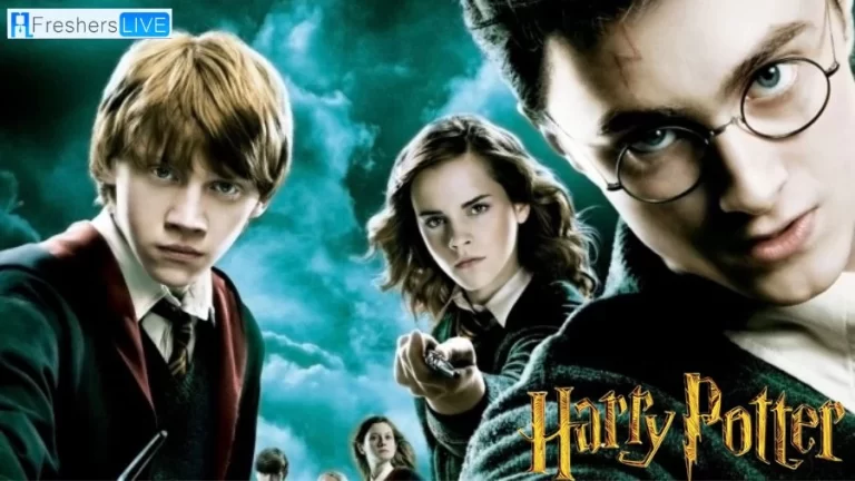 Is Harry Potter on Disney Plus? Where to Watch Harry Potter?