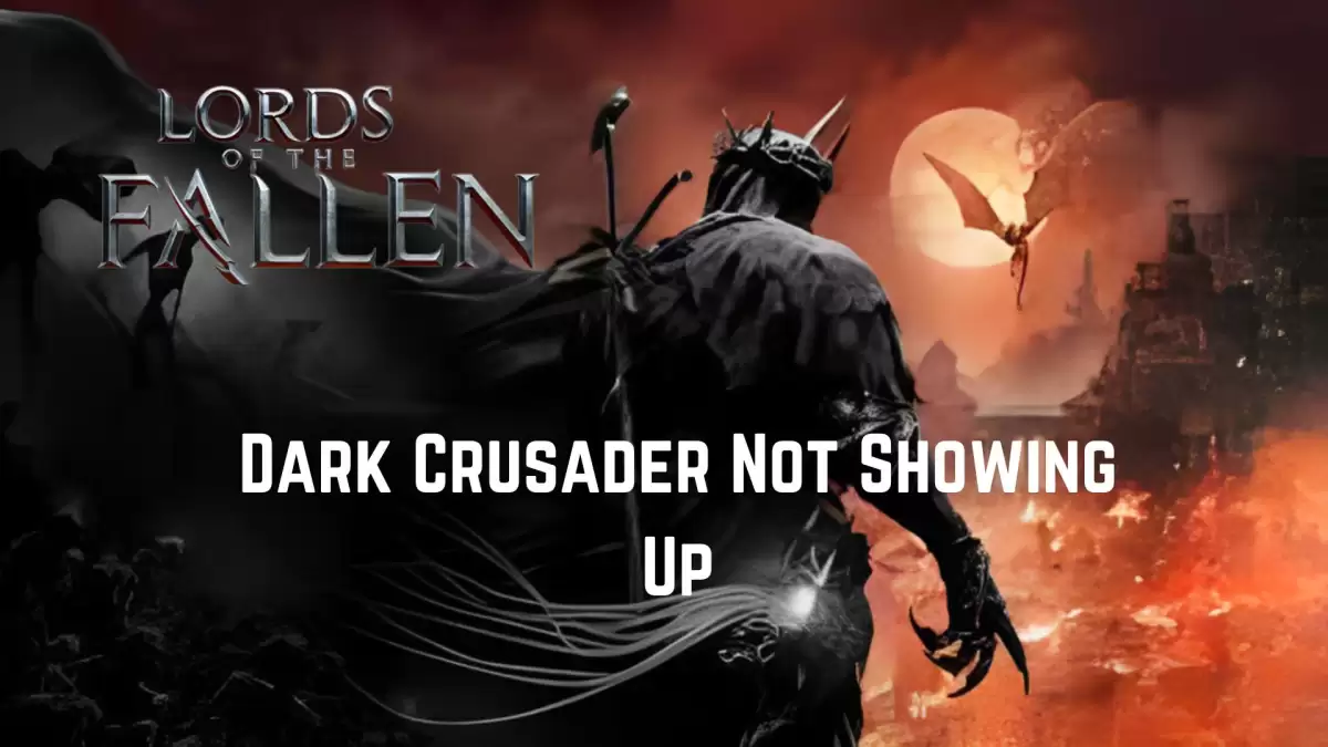 Lords of The Fallen Dark Crusader Not Showing Up, How to Fix Lords of the Fallen Dark Crusader Not Showing Up?