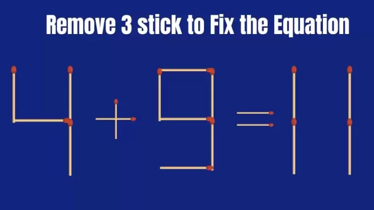 Matchstick Brain Teaser: 4+9=11 Remove 3 Matchsticks to Fix the Equation | Matchsticks Puzzle