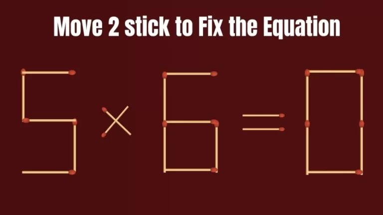 Matchstick Brain Teaser: 5×6=0 Fix The Equation By Moving 2 Matchsticks In 10 Secs | Matchstick Puzzle