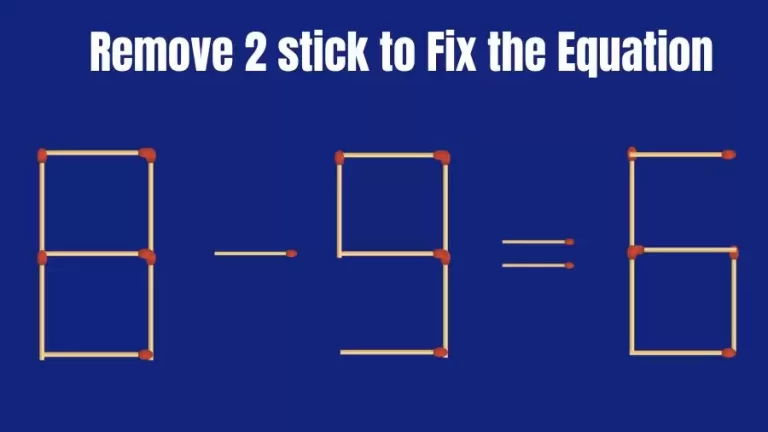 Matchstick Brain Teaser: 8-9=6 Remove 2 Matchsticks to Fix the Equation | Matchsticks Puzzle