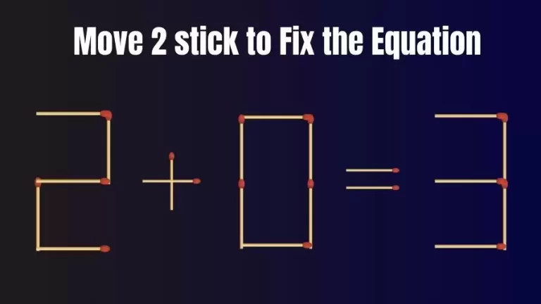 Matchstick Brain Teaser: Can You Move 2 to Fix the Equation 2+0=3 in 20 Secs?