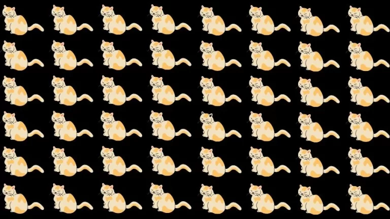 You have high-definition eyes if you can spot 5 differences between the Dog images in 20 seconds