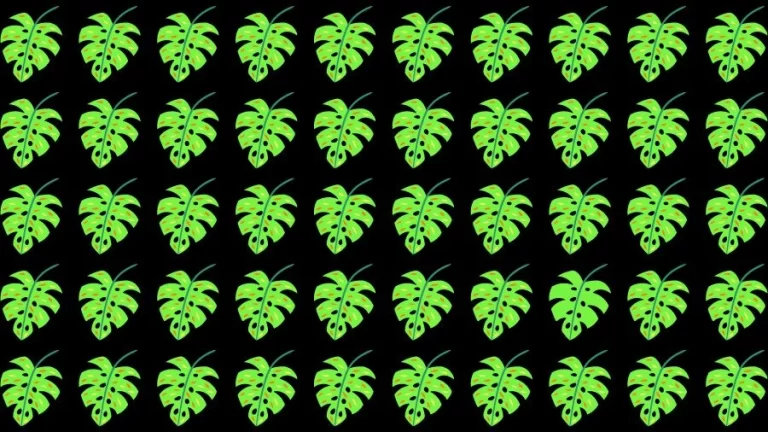 Observation Skill Test: Can you find the Odd Leaves in 10 Seconds?