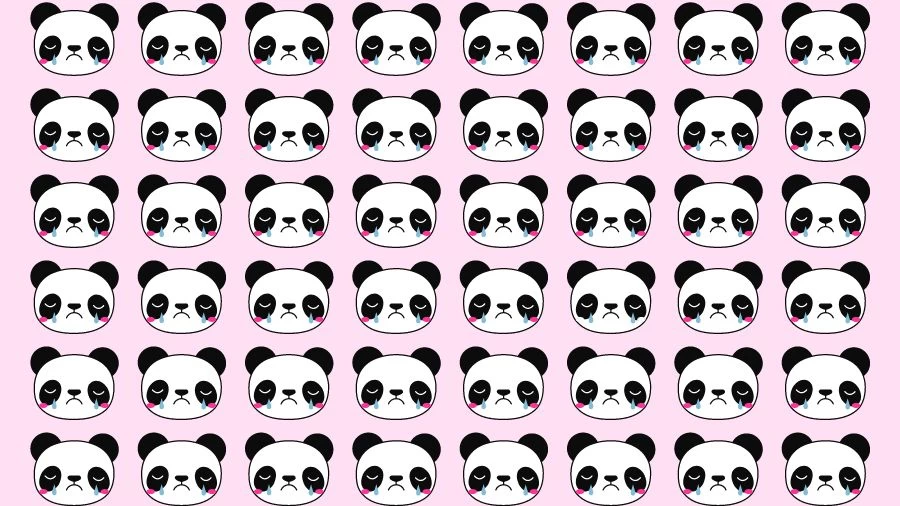 Observation Skill Test: Can you find the Odd Panda in 10 Seconds?