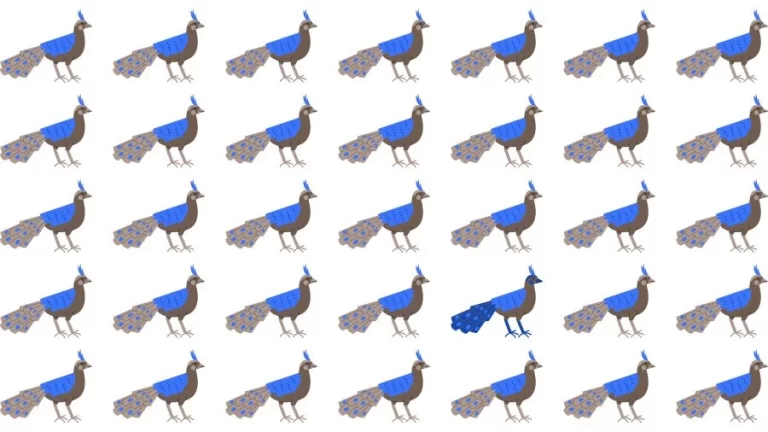 Observation Skill Test: Can you find the Odd Peacock in 10 Seconds?