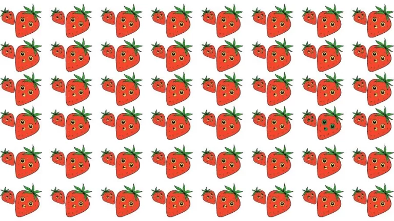 Observation Skill Test: Can you find the Odd Strawberry in 10 Seconds?