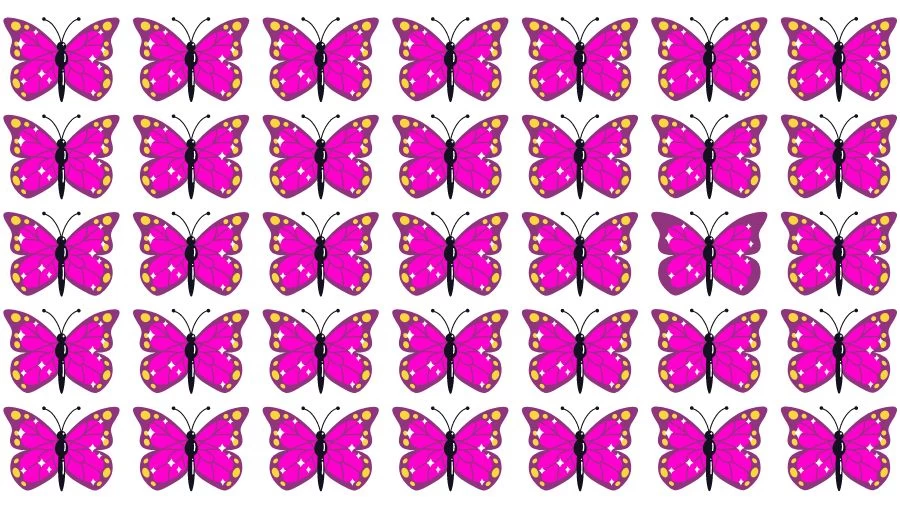 Observation Skills Test: Can you find the Odd Butterfly in 10 Seconds?