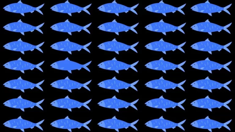 Observation Skills Test: Can you find the Odd Fish in 10 Seconds