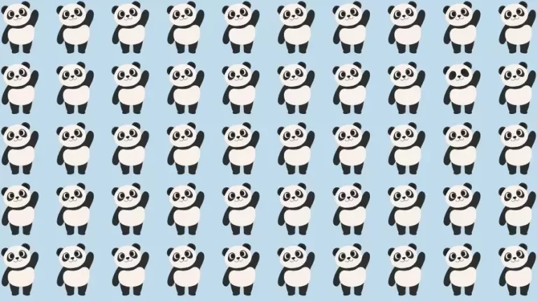 Observation Skills Test: Can you find the Odd Panda in 10 Seconds?