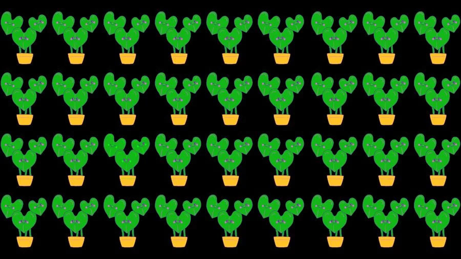Only 1% of attentive people can spot 5 differences in the Giraffe picture in 20 seconds!