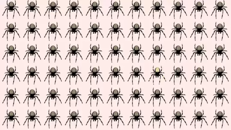 Observation Skills Test: Can you find the Odd Spider in 10 Seconds?